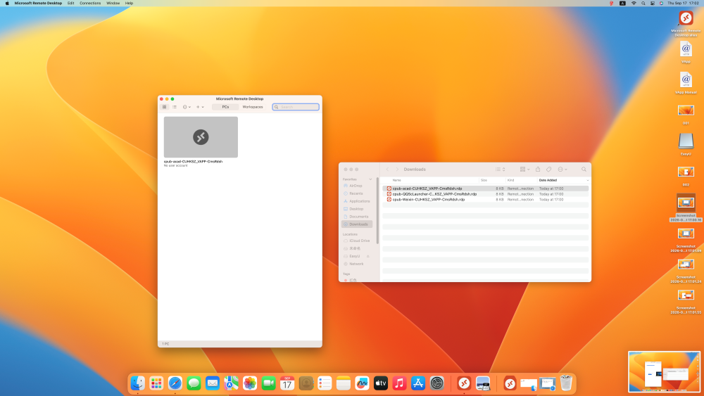 Saved remote application entry / 已保存的远程应用条目