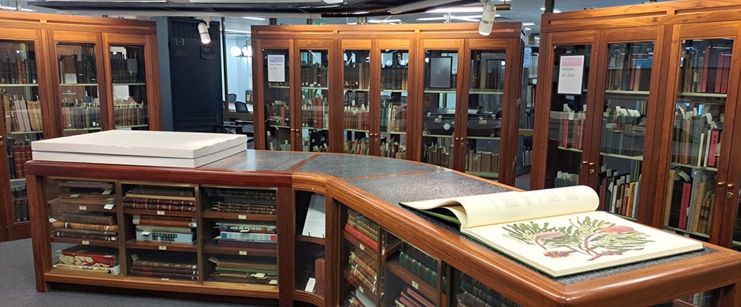 A view of the Special Collection room at the Swanston library.