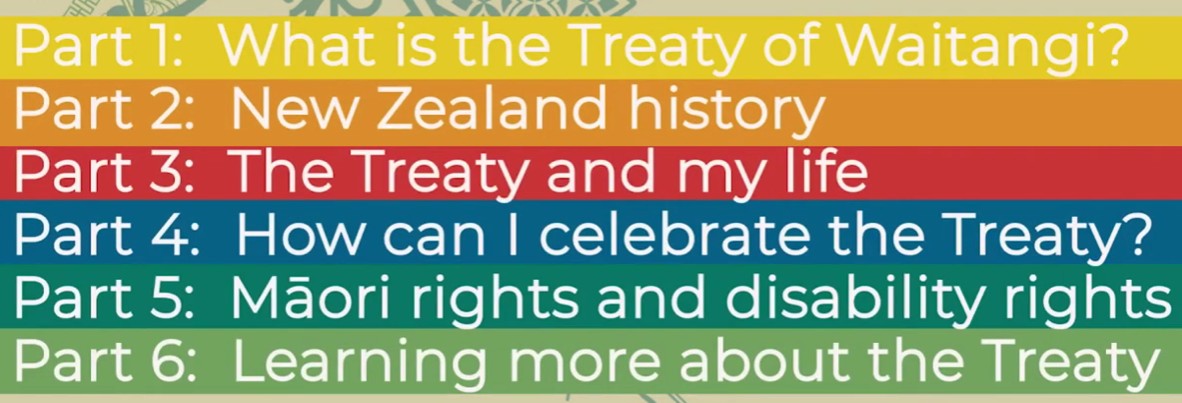 Tangata Tiriti video titles