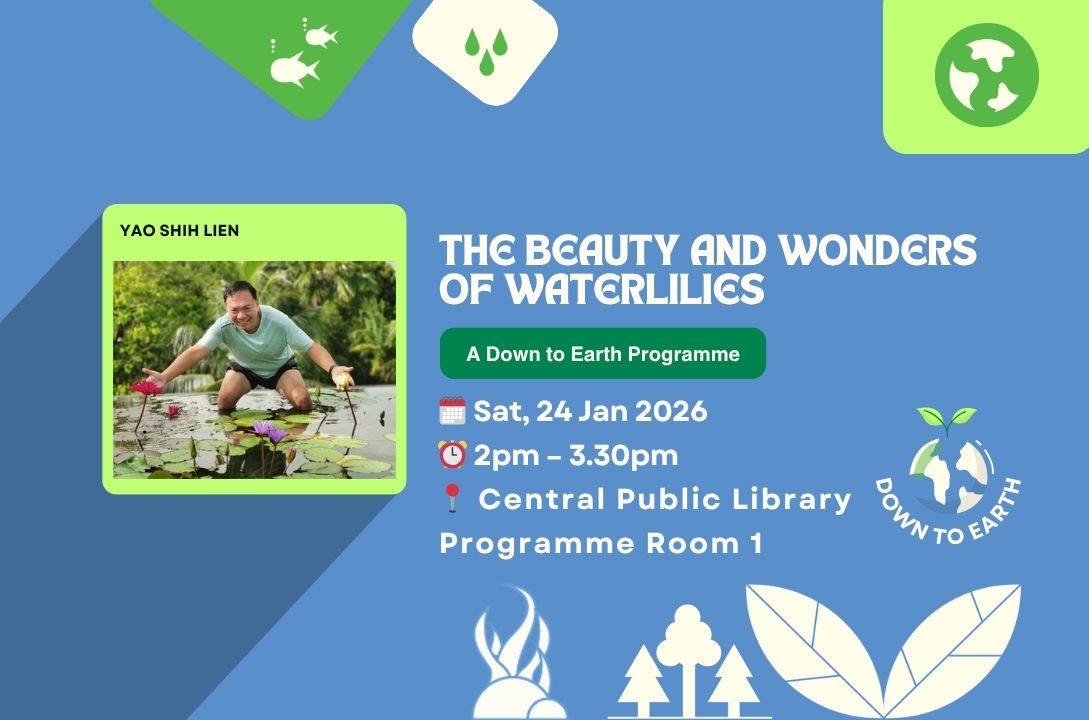 The Beauty and Wonders of Waterlilies