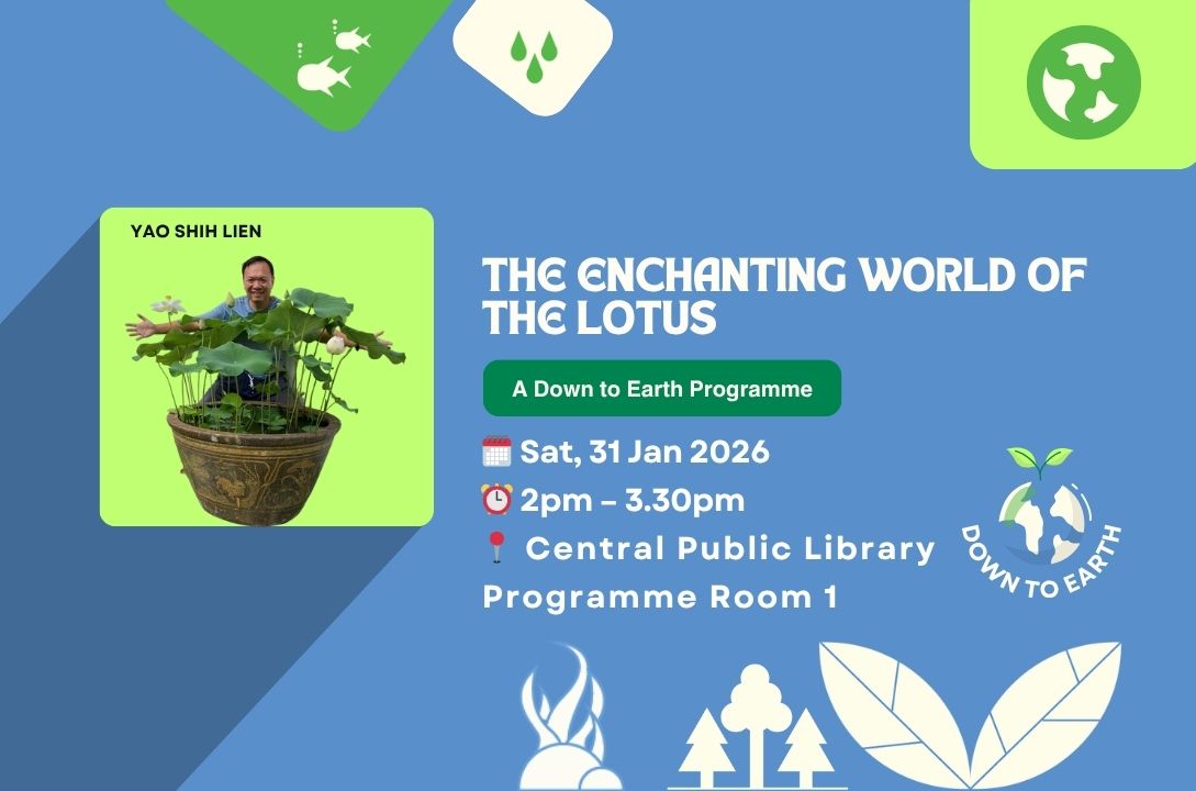 The Enchanting World of the Lotus