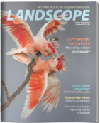 Landscope