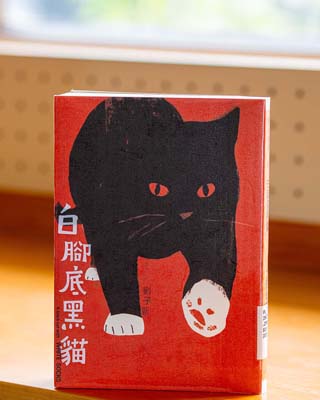 白腳底黑貓.